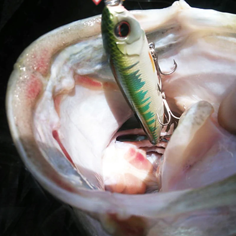 Japón Evergreen señuelo lápiz de agua palabra perro 115Jastine95 cebo falso silencioso de largo alcance - imagen 5