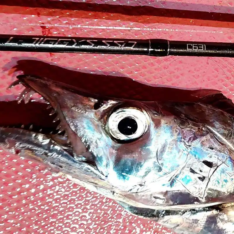 Caña jigging Tailwalk L-JIGGYS SSD – Ligera acción rápida para mar - imagen 4