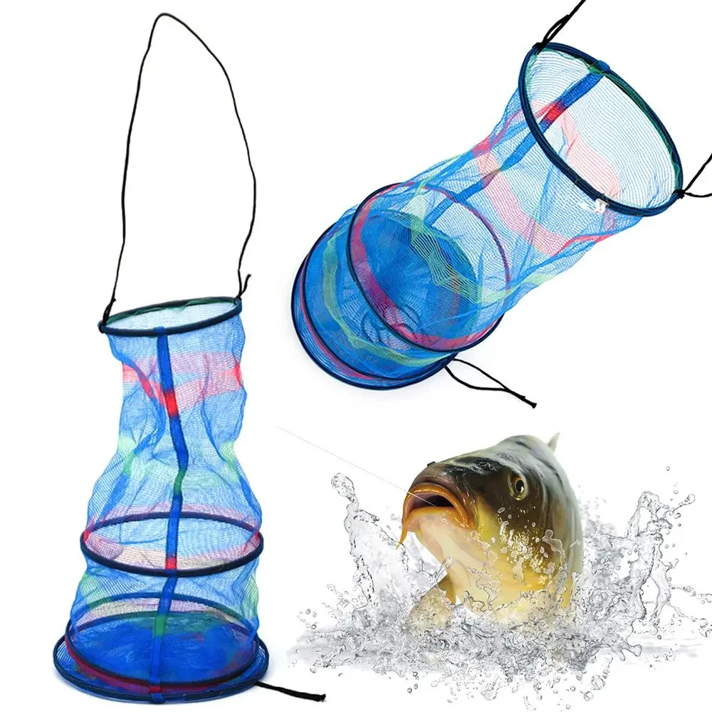 Mini cesta de pesca portátil plegable de tres capas, accesorios de protección para peces, cangrejo, langosta, camarón - imagen 5