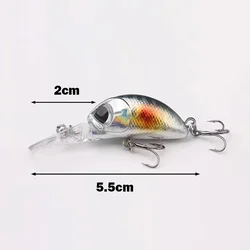 OUTKIT Crankbait 55mm 4g – Señuelo flotante para carpa