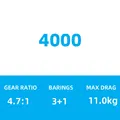 4000