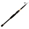 Spinning Rod