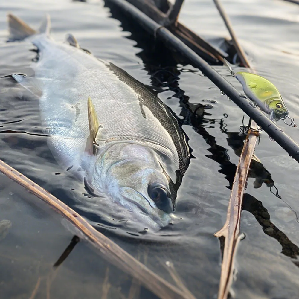 Señuelo de pesca de pececillo hundido, 52S, intruso, 52mm, 4,5g, trucha Artificial, Ajing, arroyo, lago, Jerkbait, pesca en roca, cebos duros, 1 ud. - imagen 4