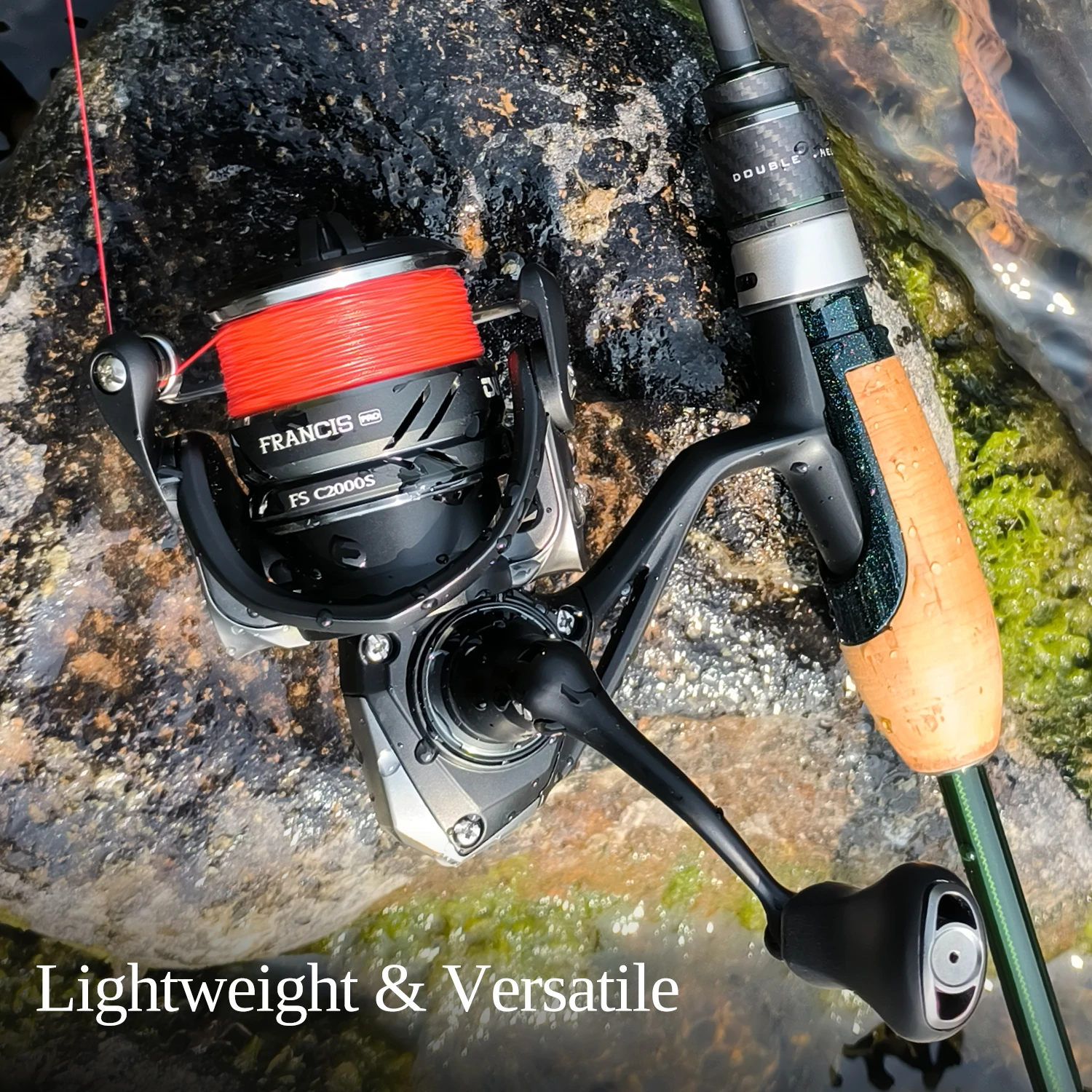 TSURINOYA FRANCIS FS PRO 800S 1000 C2000S 2500S 3000M 4000M carrete giratorio 4kg arrastre 9 + 1 rodamientos carrete de pesca Lucio - imagen 4