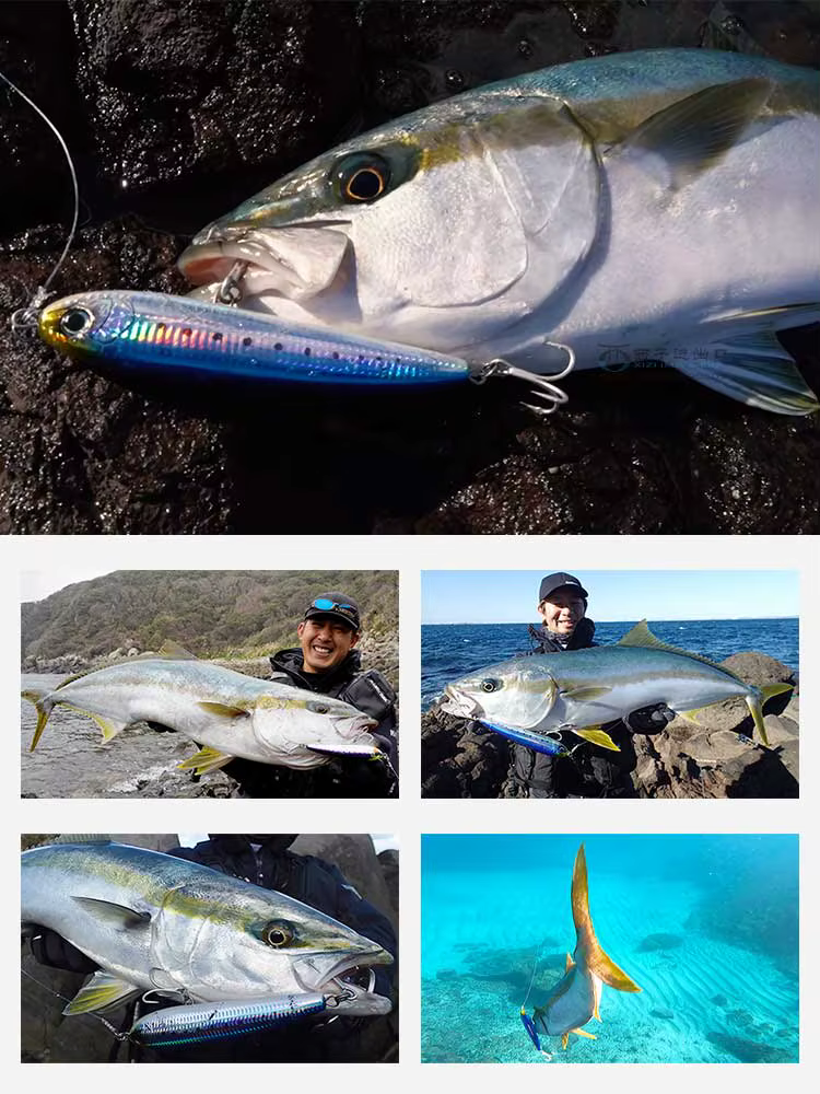 Señuelo tipo lápiz flotante DUEL para pesca en orilla, lubina, atún, caballa, cebo de agua salada F1222 F1223, equipo de pesca efectivo - imagen 4