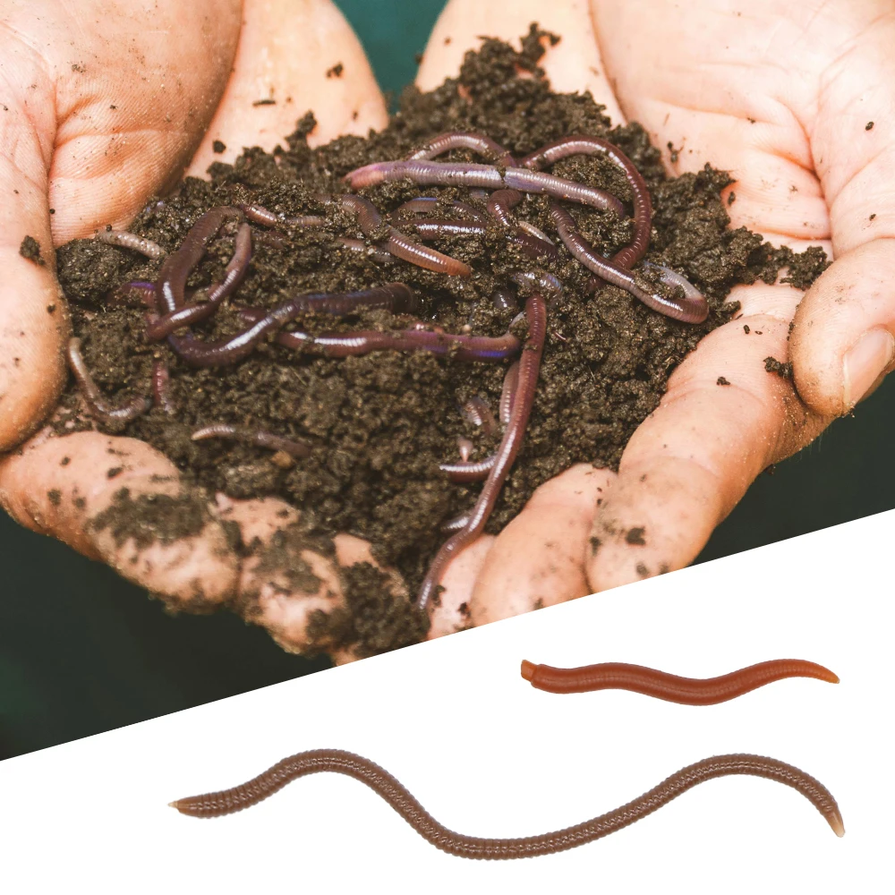 Cebo blando de lombriz de imitación con aroma a camarones, cebo blando con señuelo de gusano de sangre. Adecuado tanto para pescar en agua dulce y salada. - imagen 3