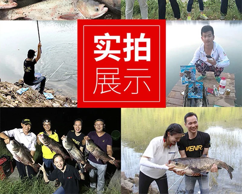 Experimente la emoción de pescar con amigos y familiares en entornos naturales serenos