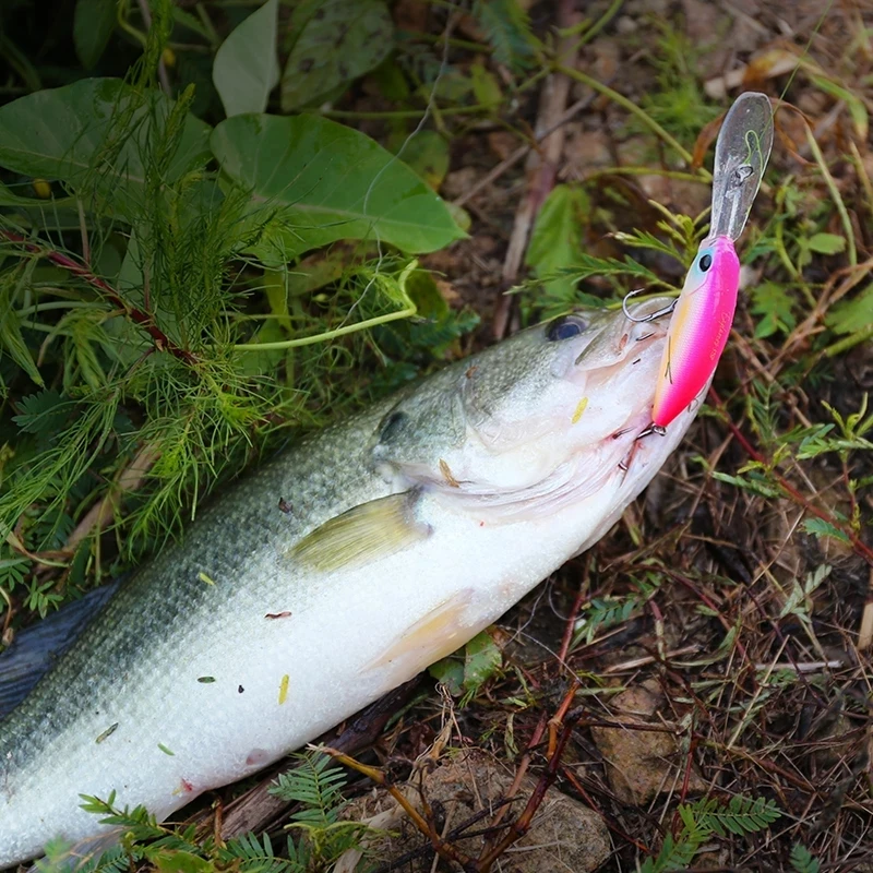 TSURINOYA 57sp Minnow Wobblers Pike señuelo de pesca cebo Artificial duro Swimbait 57mm 8,2g Crankbaits Señuelos de Pesca Profesionales - imagen 5