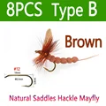 8pcs Brown Type B