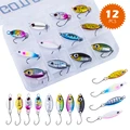 12pcs
