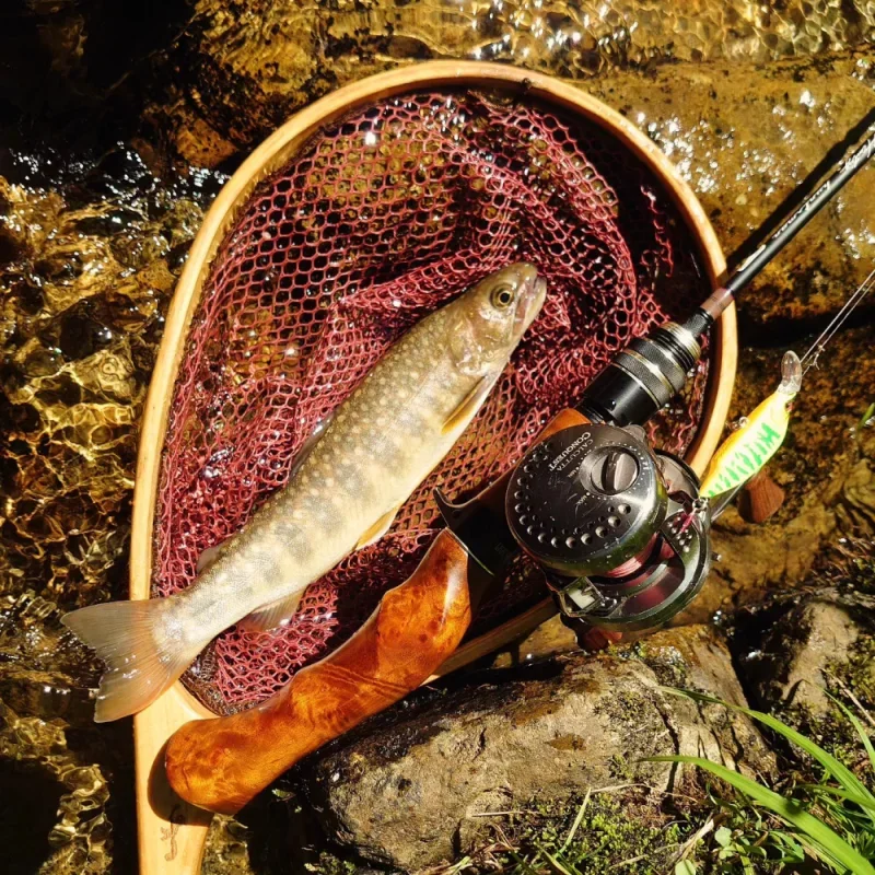 Señuelo de pesca de pececillo hundido, cebos duros de 46Mm, JerkBaits, Crankbaits, perca, Leurre Jackall GH46, Wobblers jorobados - imagen 3