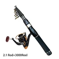 2.1 Rod Reel 3000