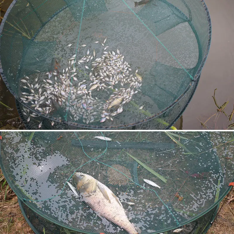 Jaula de trampa de red de pesca automática, forma redonda, duradera, abierta para cangrejo, langosta, río al aire libre - imagen 4