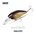 Type B-6g-C313