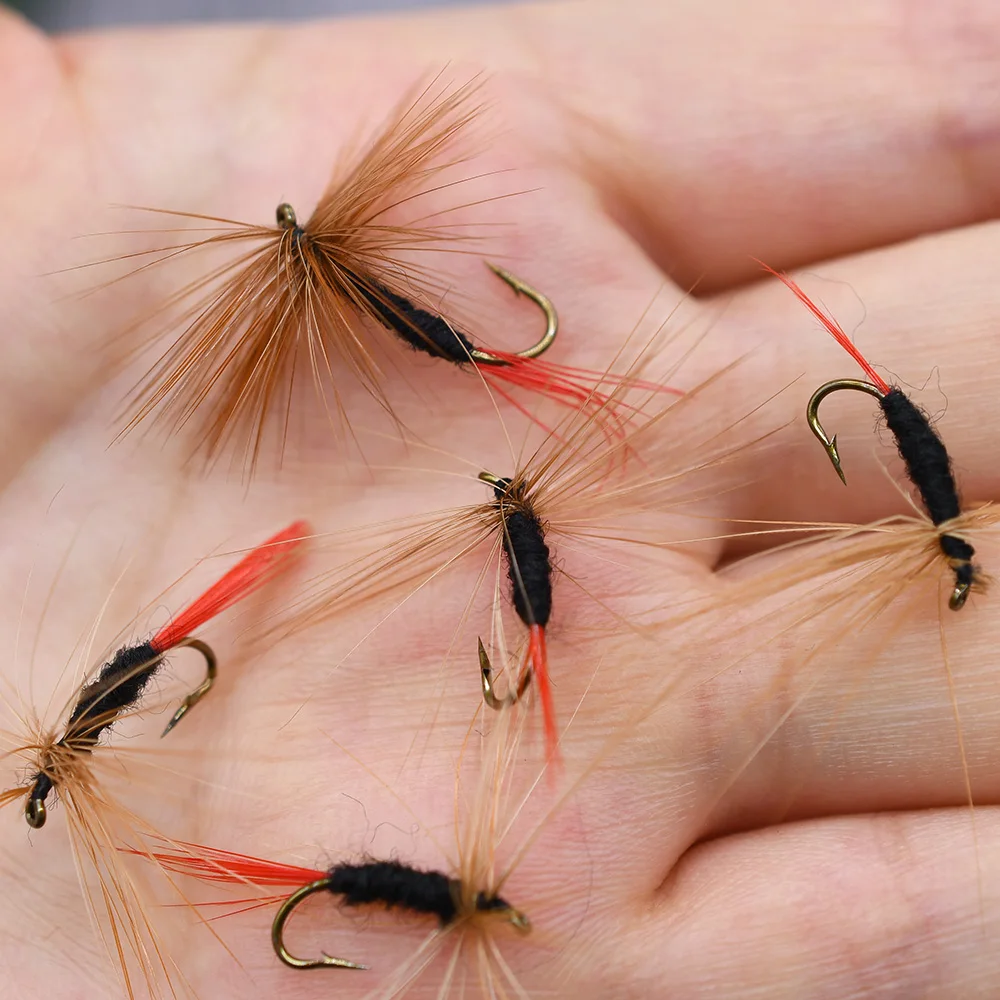 MNFT 10 piezas 12 #   Barba marrón puede mosca cola roja pesca húmeda mosca trucha cebo moscas - imagen 3