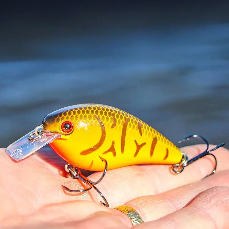 Los Estados Unidos importó STRIKE KING cebo de fundición lejana cebo falso 1,5 2,5 KVD grasa CRANK placa de lengua cuadrada - imagen 2