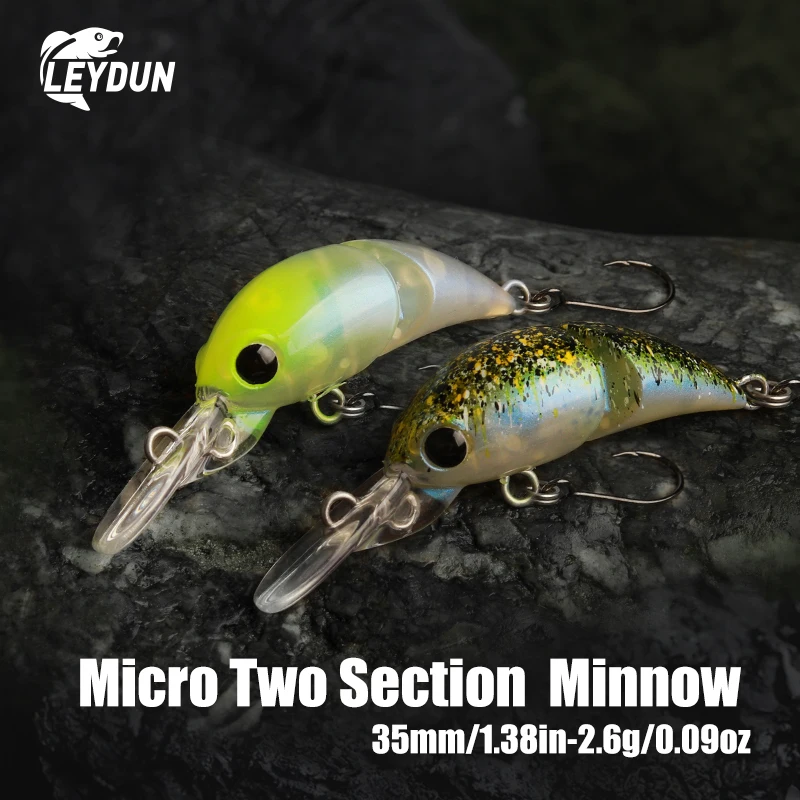 LEYDUN Crankbait flotante poco profundo – Señuelo artificial - imagen 3