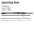 Spinning Rod