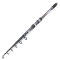 Carp Rod