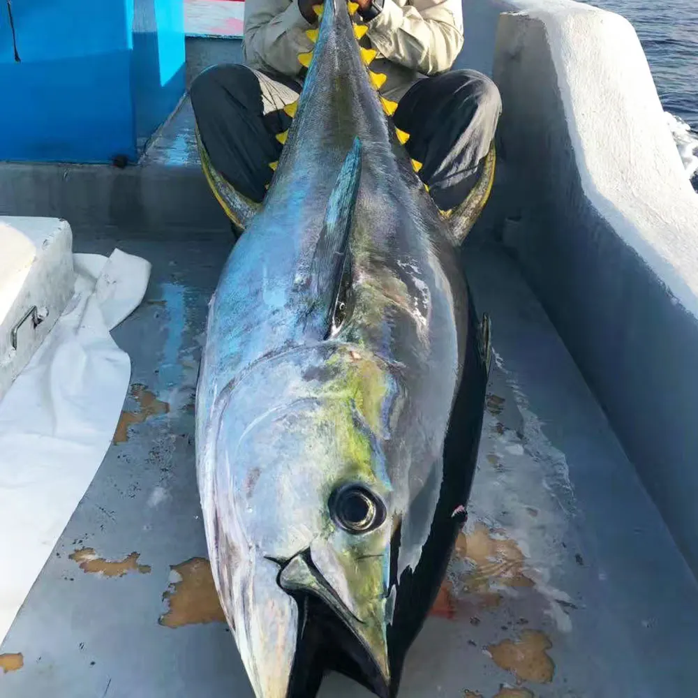 Cebo de arrastre de lápiz de arrastre de madera, señuelo de Pesca de Mar de 71g/6 pulgadas, Wobbler, Marlin, atún, barco, 1 unidad - imagen 4