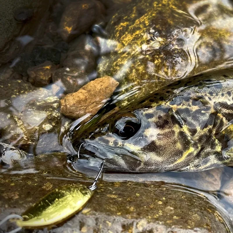 CAST & CATCH 1,8g/3g cuchara de gota de agua cuchara de plantilla fundida de Metal de cobre cebo Artificial aparejos de Pesca duros Pesca para peces de trucha - imagen 4