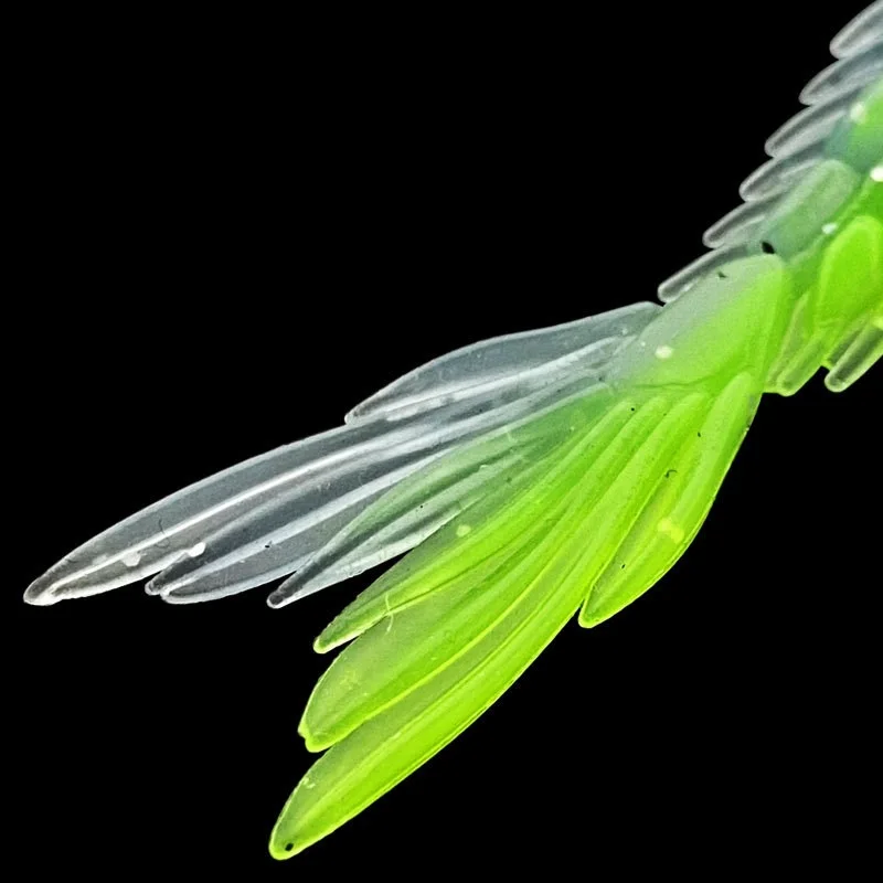 Descubra la belleza vibrante de la naturaleza con este impresionante primer plano de un ala de insecto verde