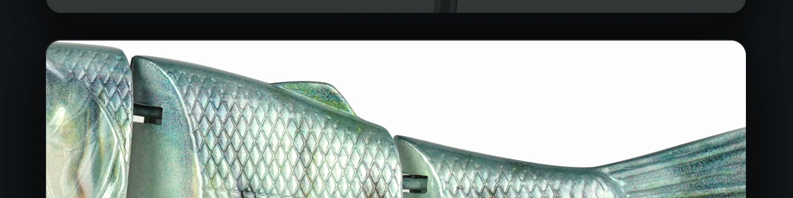 Experimente la belleza de la naturaleza con esta impresionante escultura de peces