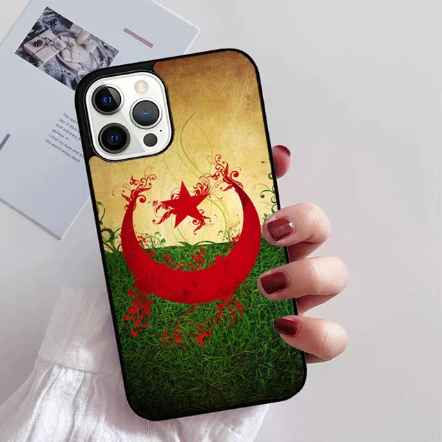Detalle del emblema argelino en la funda