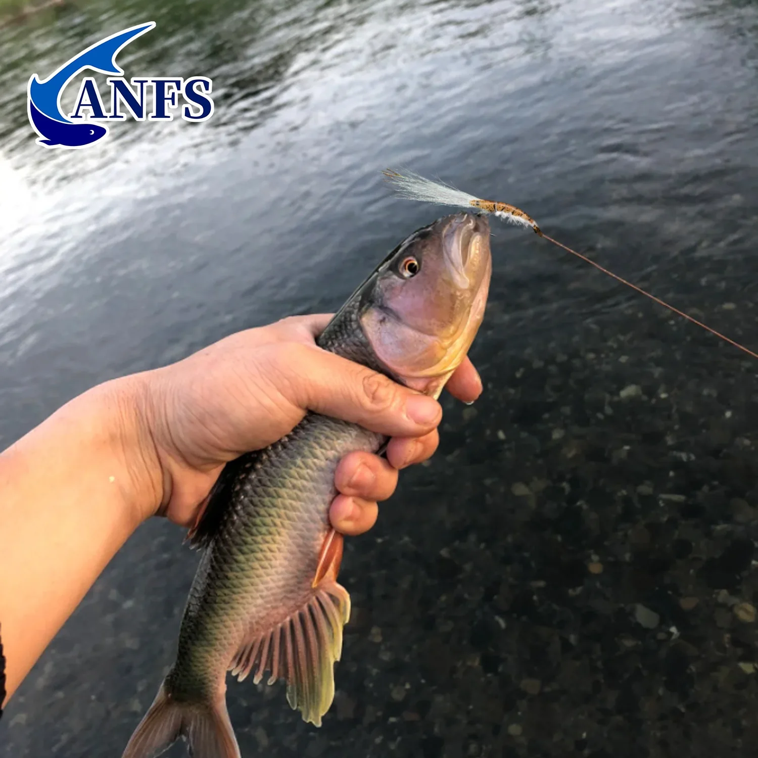 ANFS 5 uds Kit de Señuelos de Pesca con Mosca de colores mezclados-Camarones moscas de pesca con mosca húmeda-Regalo increíble para pescador - imagen 4