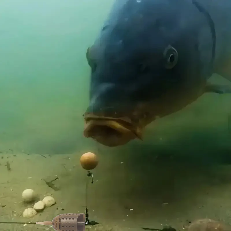 Kit Method Feeder Carpa con Leadcore y 8 Anzuelos - imagen 5