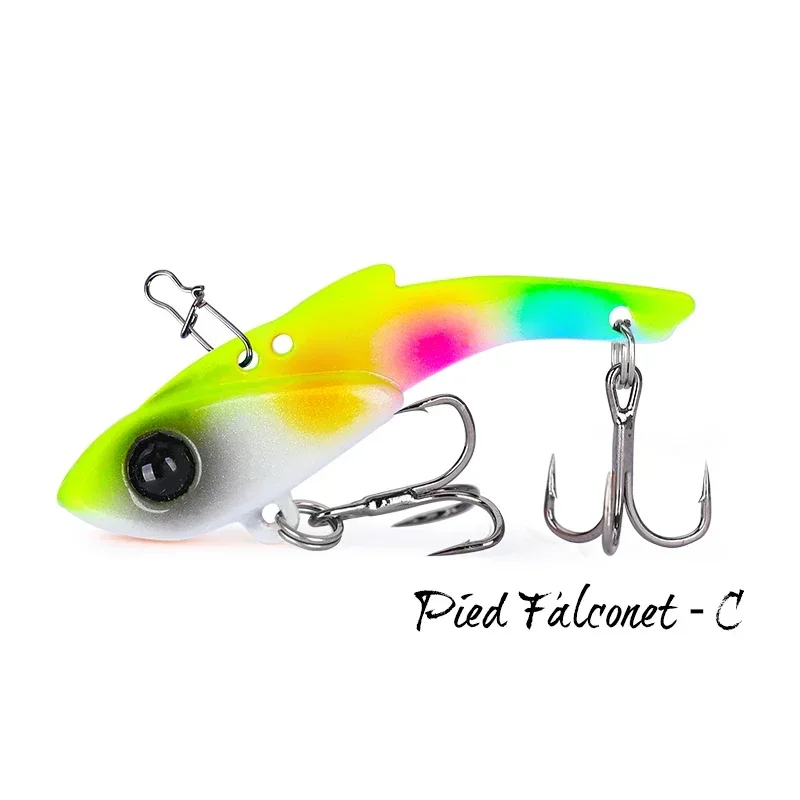 Pied Falconet-C