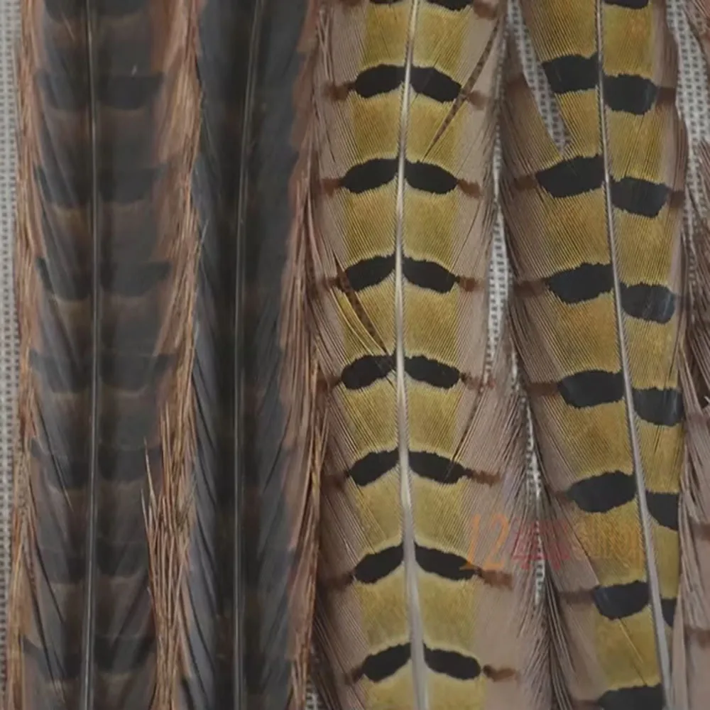 Plumas de faisán naturales MNFT para atado de moscas – 20-25cm - imagen 2