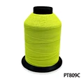 PT809C