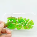 6pcs GJ12 huanglv