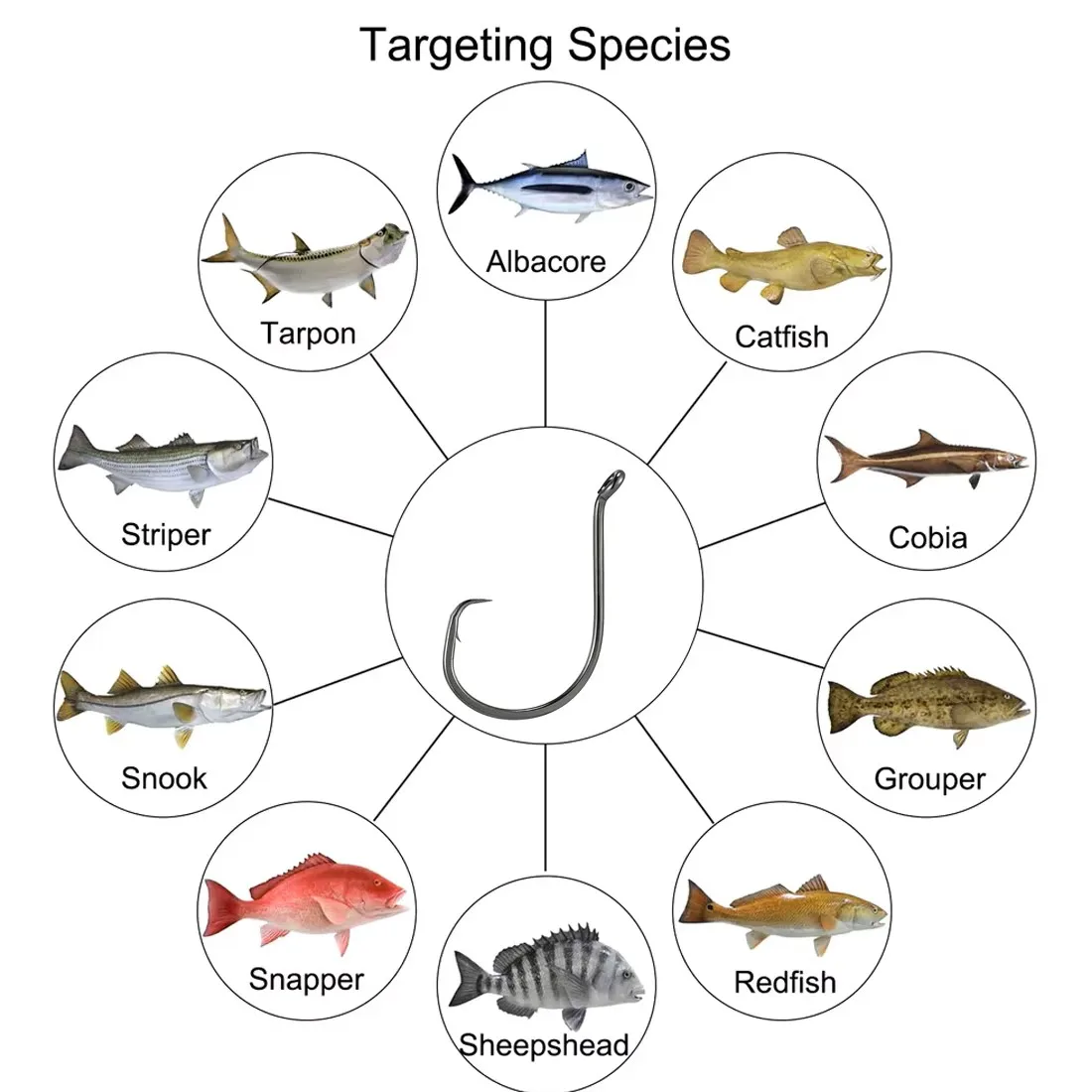 FishTrip-anzuelo de pulpo, anzuelo circular de carpa compensado, 2X cebo vivo fuerte, anzuelo de pesca con púas para agua salada y bagre de agua dulce y lubina - imagen 5