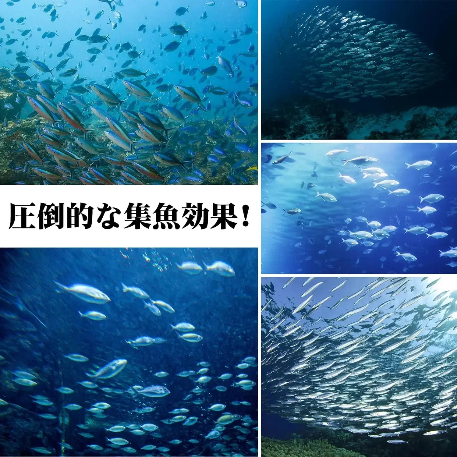 Goture 16w luz de pesca submarina luz de pesca sumergible IP68 LED señuelos buscador lámpara atrae gambas calamar Krill luz verde - imagen 3