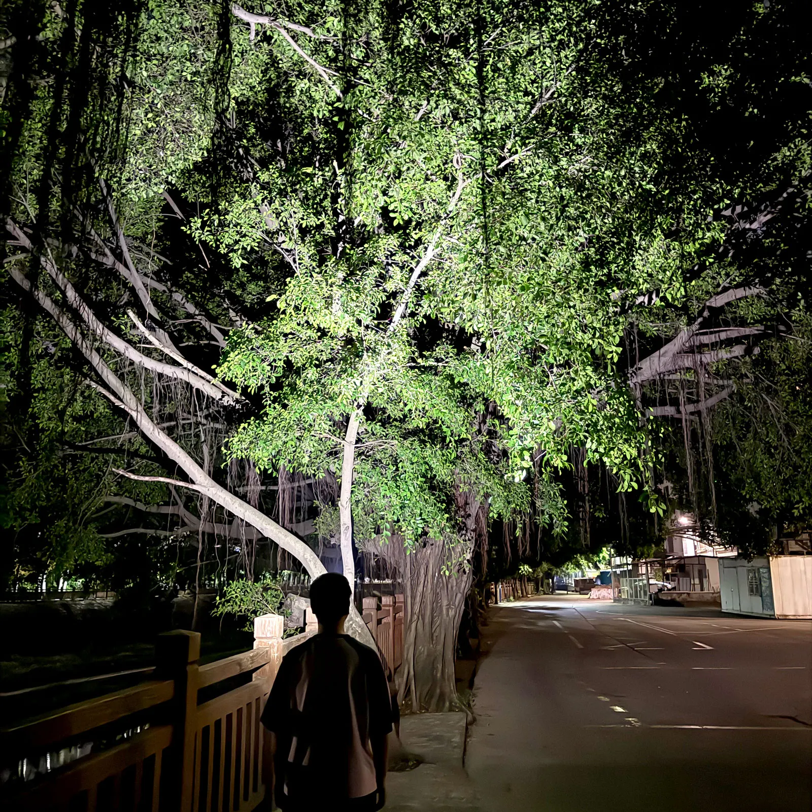 Iluminación exterior montar pesca caza USB LED faro tipo C luz de trabajo atenuación memoria antorcha faro 18650 cabeza Flash lámpara - imagen 3