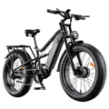 52V 20AH 3000W
