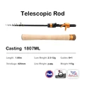 FUJI Cast180 MLGold