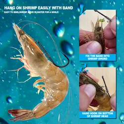 ZYZHE Aparejo doble para camarón vivo – Agua dulce y salada