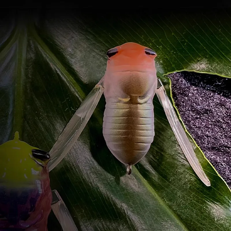 GUÍA POST 2025 nuevo ChanWu 40F/55F superficie de agua cebo biomimético señuelo 2,8g/5g Artificial Wobbler perca cebo duro aparejos de pesca - imagen 5