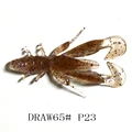 P23