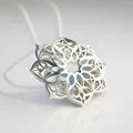 oem
