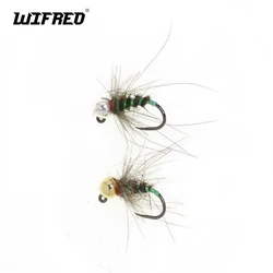 Wifreo 6PCS 16 #   Señuelo de pesca con mosca, cabeza de cuentas de tungsteno CDC Hackle, plantilla sin púas, moscas Ninfa europea, trucha, Grayling Bass