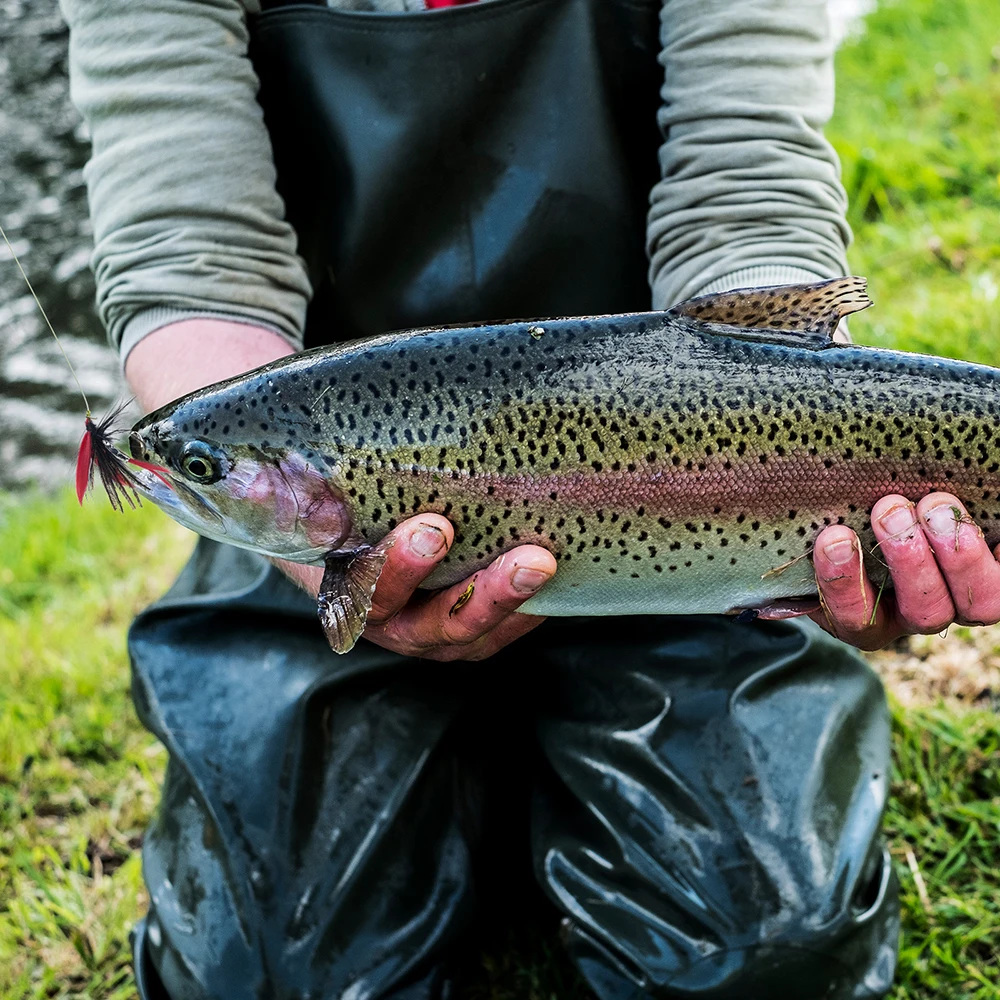 Goture 30 unids/lote señuelo de pesca con mosca moscas secas húmedas cebo de insectos artificiales hecho a mano gancho de acero rico en carbono para pesca de trucha - imagen 5