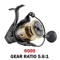 6000