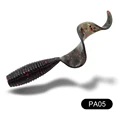 PA05
