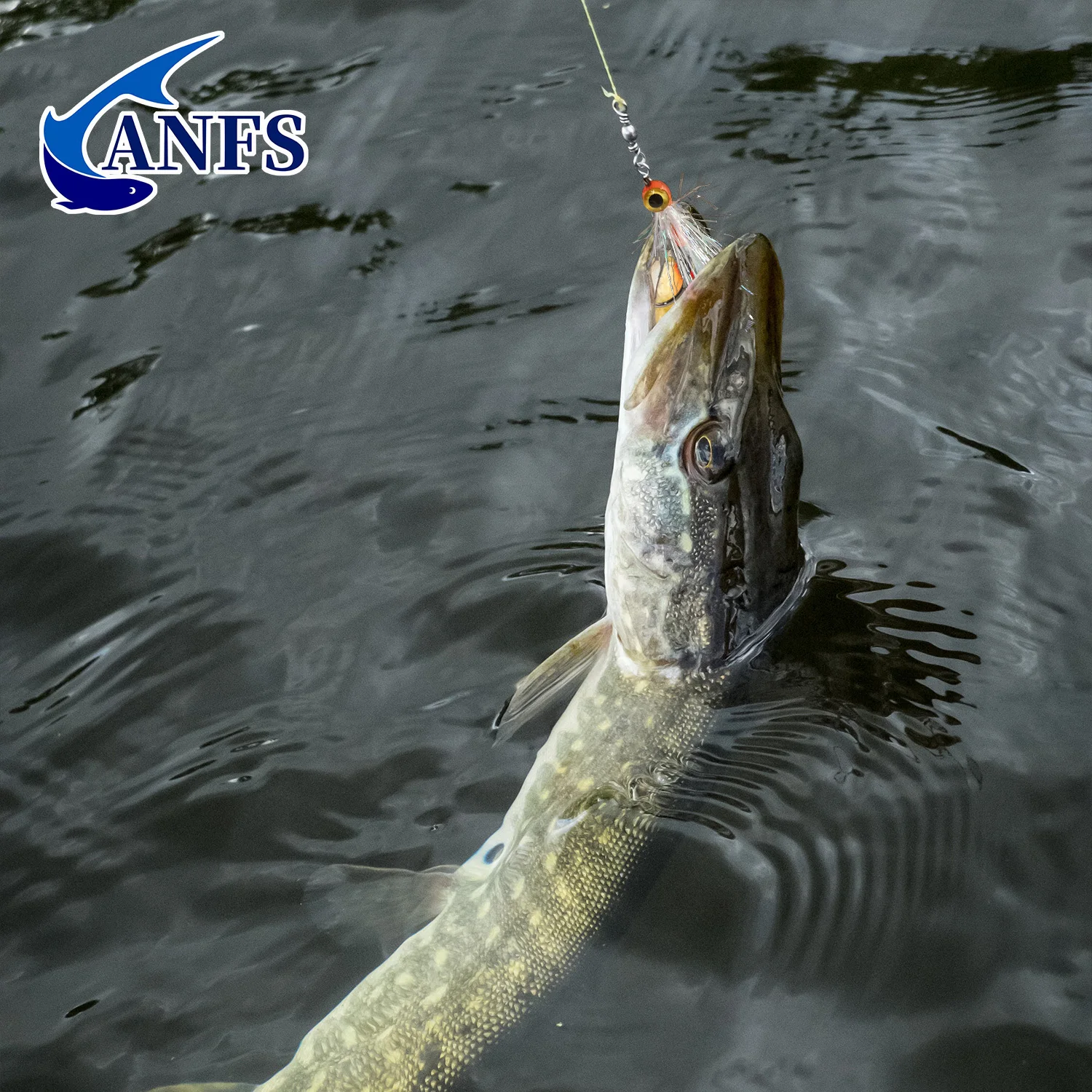 ANFS Moscas Streamer para pesca en agua dulce y salada