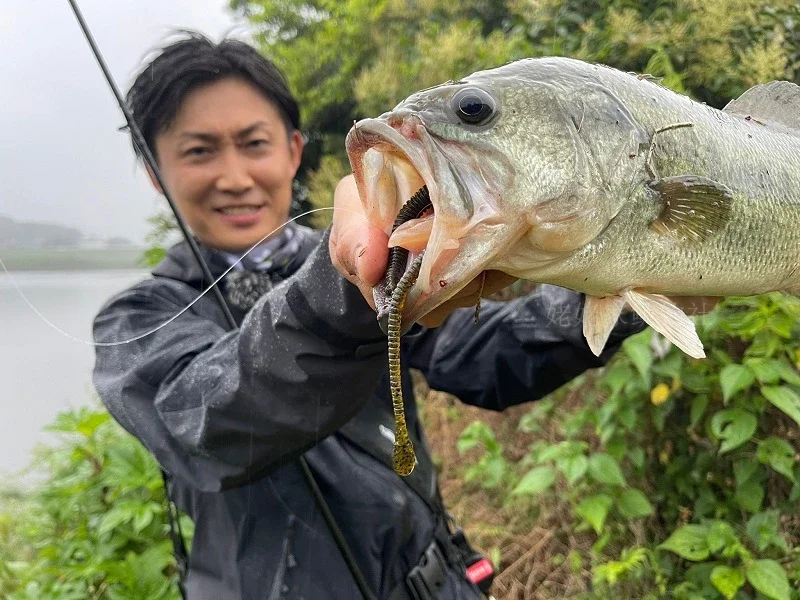 Changji Yicheng ISSEI espátula de gusano de rayas de cara grande, cebo subsuave de carretera sin plomo de alta gravedad de 7,8 pulgadas, grupo de pesca Neko - imagen 3