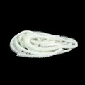 20pcs Color 3